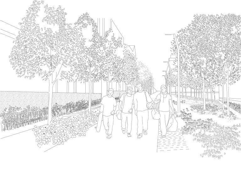 evry_croquis-allee