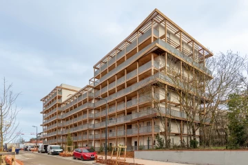 promomidi-bois-de-nagoya-fevrier-2026-12