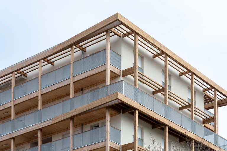 promomidi-bois-de-nagoya-fevrier-2026-13