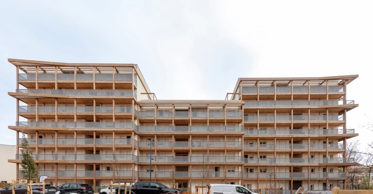 promomidi-bois-de-nagoya-fevrier-2026-14