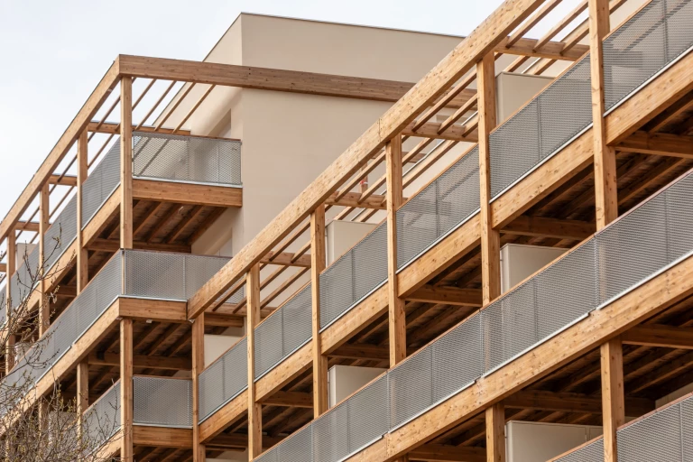 promomidi-bois-de-nagoya-fevrier-2026-15