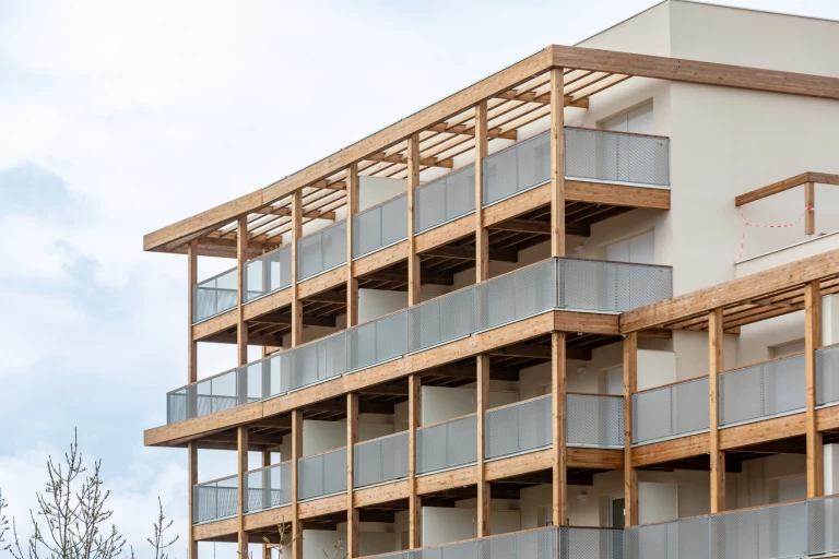 promomidi-bois-de-nagoya-fevrier-2026-8