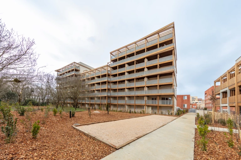 promomidi-bois-de-nagoya-fevrier-2026-9