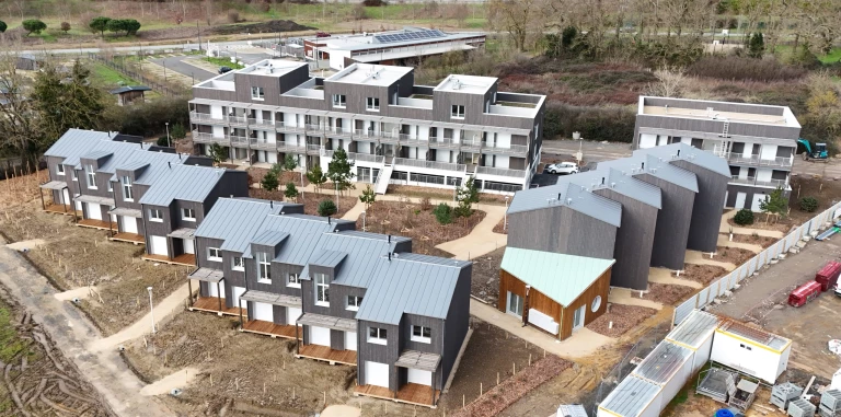 dji_20260204144253_0147_d